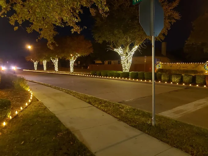 A massive mature tree wrapped trunk to canopy in lights